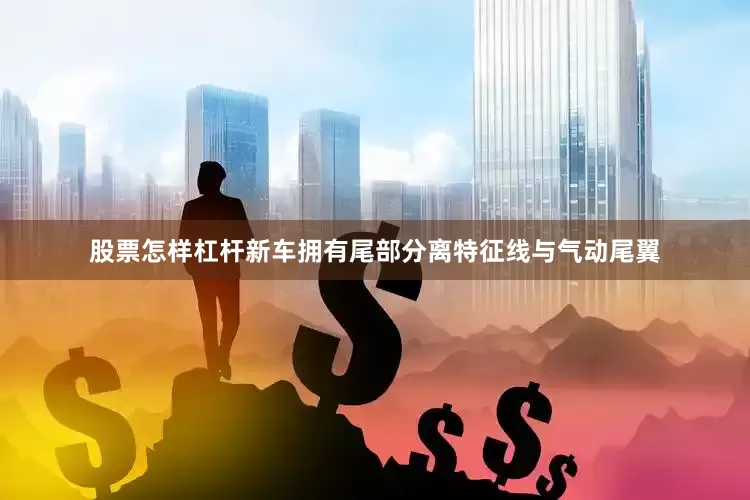 股票怎样杠杆新车拥有尾部分离特征线与气动尾翼